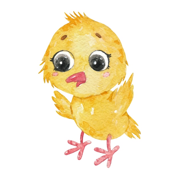 Ilustración de bebé de pollo acuarela