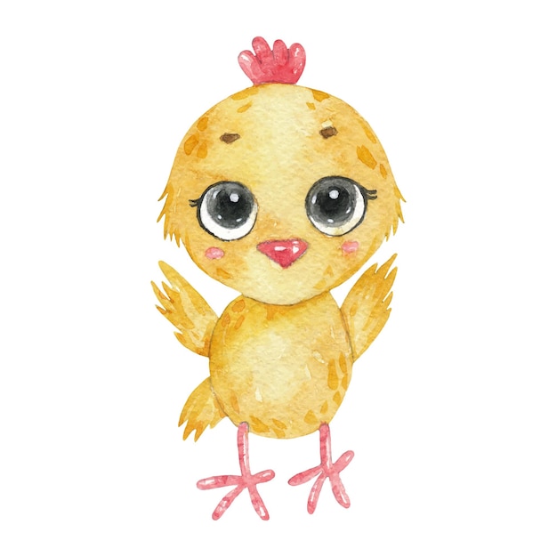 Ilustración de bebé de pollo acuarela