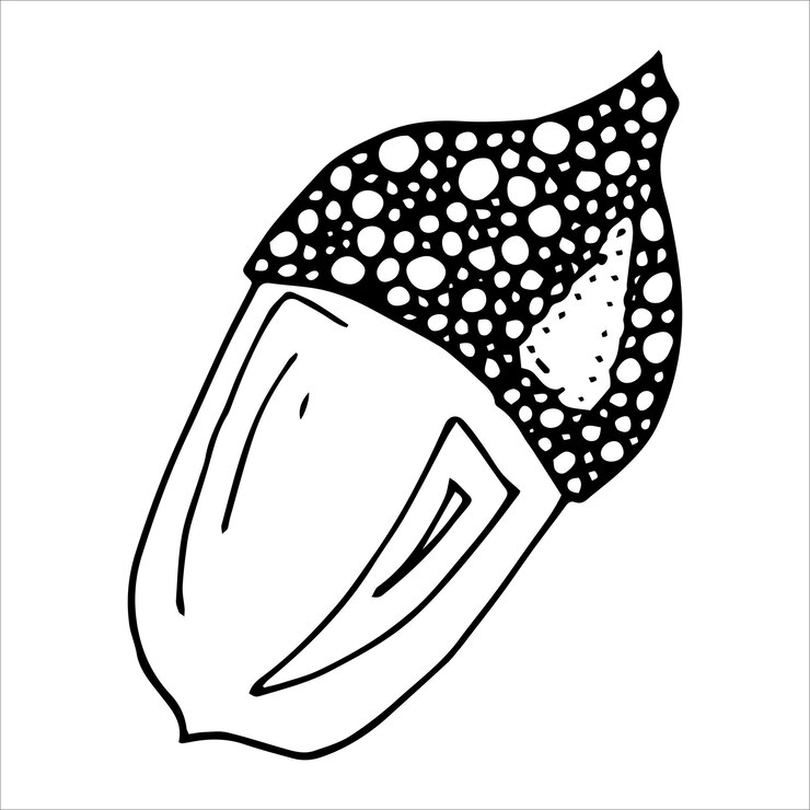 Vector ilustración de bellota dibujada a mano para decoración de diseño web de impresión bosquejo de botánica de otoño