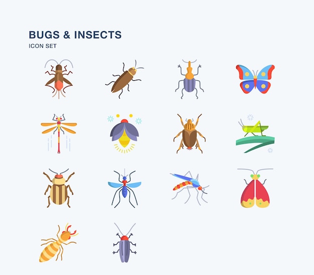 Ilustración de bichos e insectos