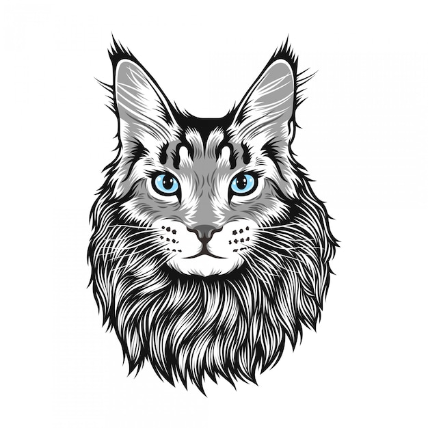 Ilustración de Big Cat Maine Coon