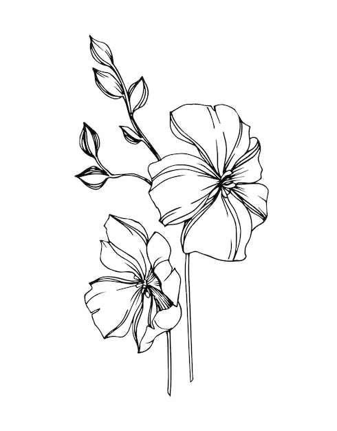 Ilustración en blanco y negro de una flor sobre un fondo blanco