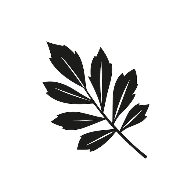 Ilustración en blanco y negro de la silueta de la hoja de Hickory