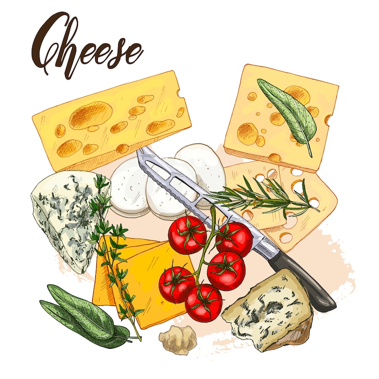 Vector ilustración de boceto realista a todo color de queso y hierbas con albahaca y tomates