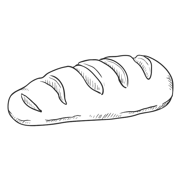 Vector ilustración de boceto único vectorial pan largo baguette pequeño