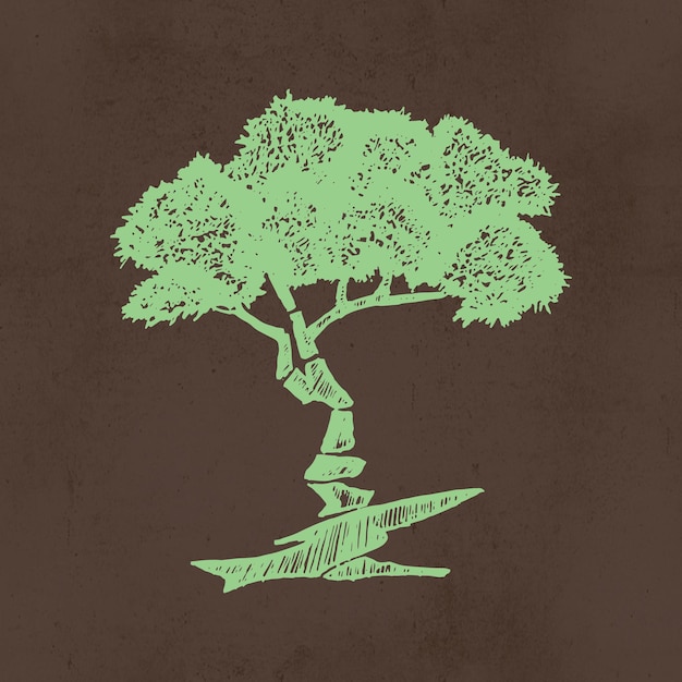 Vector ilustración de bonsái genial dibujada a mano con líneas verdes