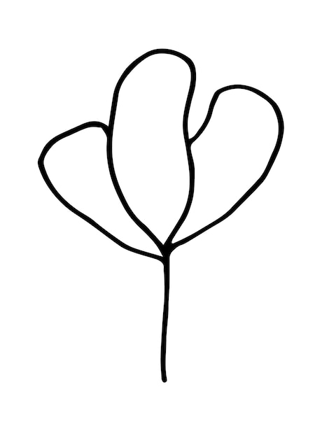 Ilustración botánica dibujada a mano de una sola hoja Diseño vectorial