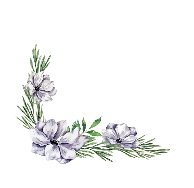 Ilustración botánica de invierno anémonas hojas pampa borde marco diseño floral