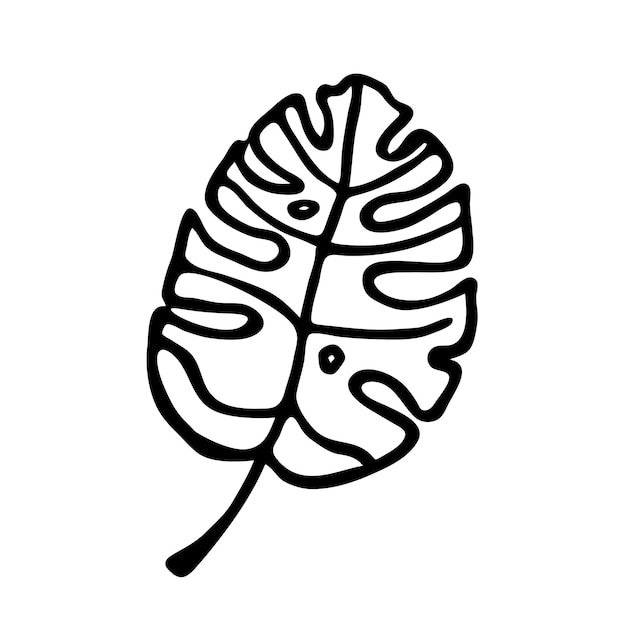 Ilustración botánica de monstera Silueta monocromática de una hoja tropical Hoja dibujada a mano