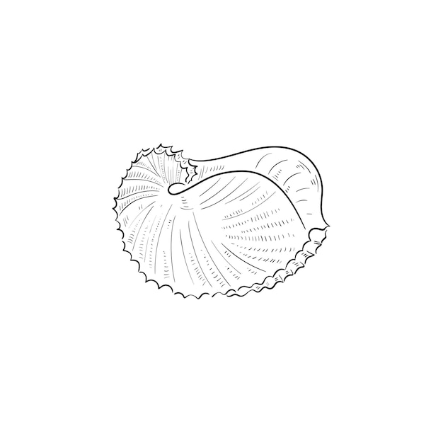 Ilustración botánica del océano y el mar Estilo de garabato de línea de tinta negra