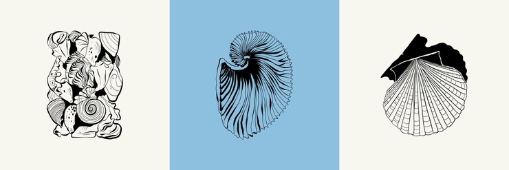 Vector ilustración botánica del océano y el mar estilo de garabato de línea de tinta negra