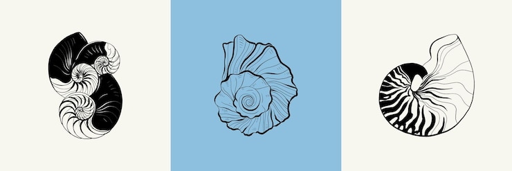 Vector ilustración botánica del océano y el mar estilo de garabato de línea de tinta negra