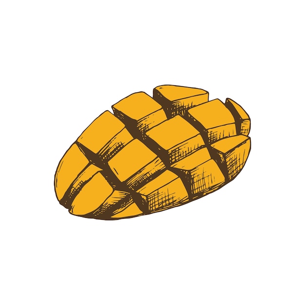 Ilustración botánica de rebanadas cortadas de mango tailandés Fruta de mango grabada en un color Frutas vegetarianas tropicales exóticas Uso para el menú del restaurante de batidos de café del mercado impresión textil
