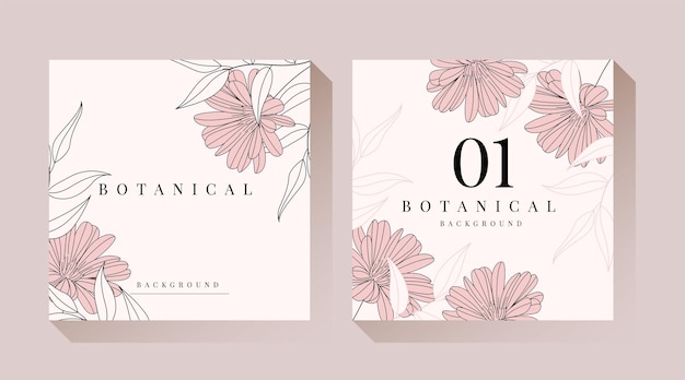Ilustración botánica rosa