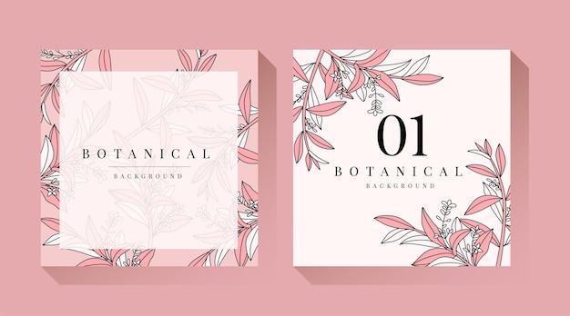 Ilustración botánica rosa