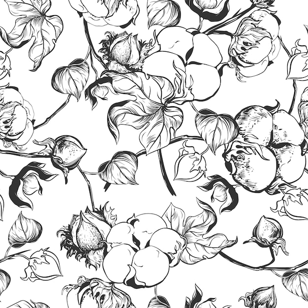 Ilustración botánica utilizando la técnica de grabado Ramas de algodón con hojas se dibujan con tinta Ilustración adecuada para textiles de tela
