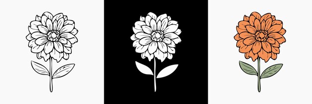 Ilustración botánica vectorial de la flor de Dahlia silueta floral