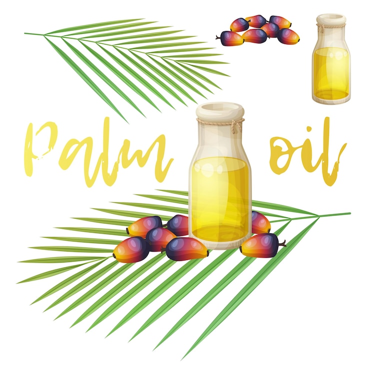 Vector ilustración de botella de aceite de palma natural con frutas y hojas rojas aisladas sobre un fondo blanco icono de comida de dibujos animados de productos orgánicos saludables