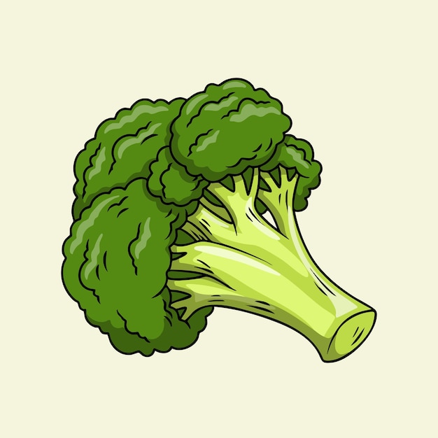 Ilustración de brócoli verde fresco