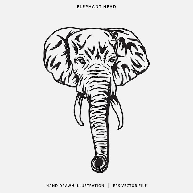 Ilustración de cabeza de elefante dibujada a mano para libros de colorear y tatuajes