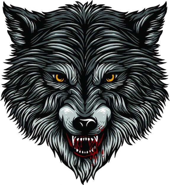 Vector ilustración de cabeza de lobo