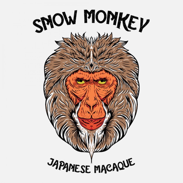 Vector ilustración de cabeza de mono de nieve japonés