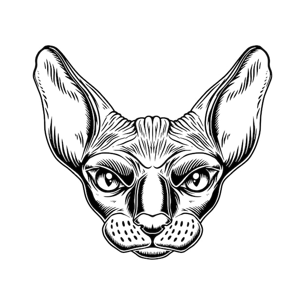 Ilustración de la cabeza de la raza de gato Sphynx en estilo monocromático vintage