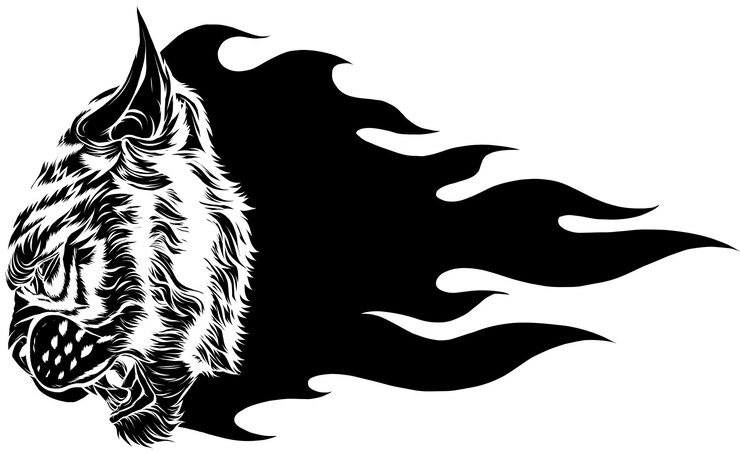 Vector ilustración de cabeza de tigre con llamas