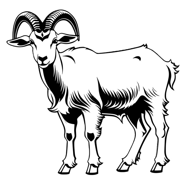 Ilustración de cabra