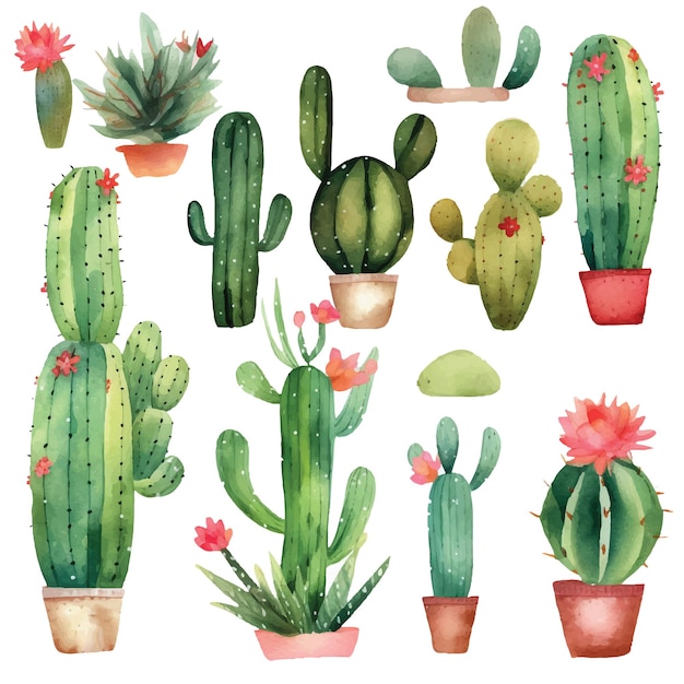 ilustración de cactus acuarela 3