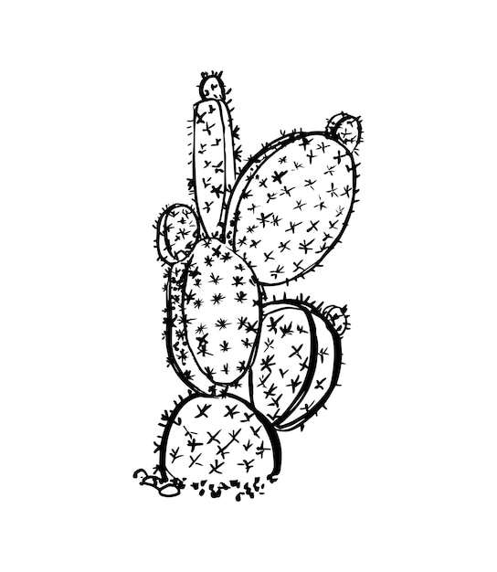 Ilustración de cactus en estilo Art Ink