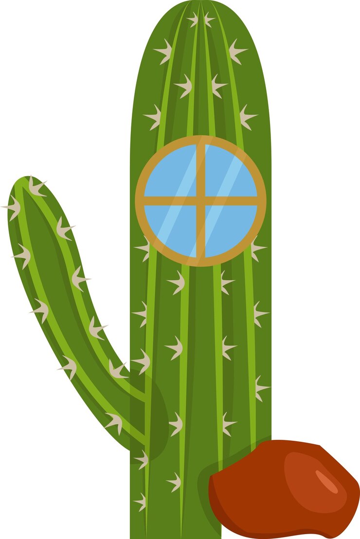 Vector ilustración de cactus