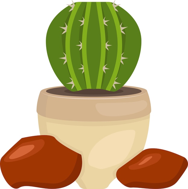 ilustración de cactus