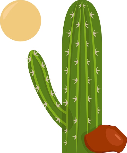 ilustración de cactus