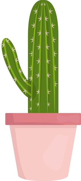 ilustración de cactus