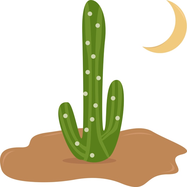 ilustración de cactus