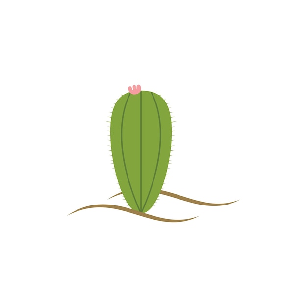 Vector ilustración de un cactus