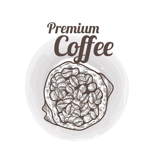 Vector ilustración de café en grano