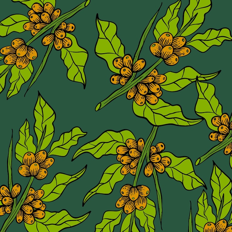Vector ilustración de café y hojas de estilo vintage