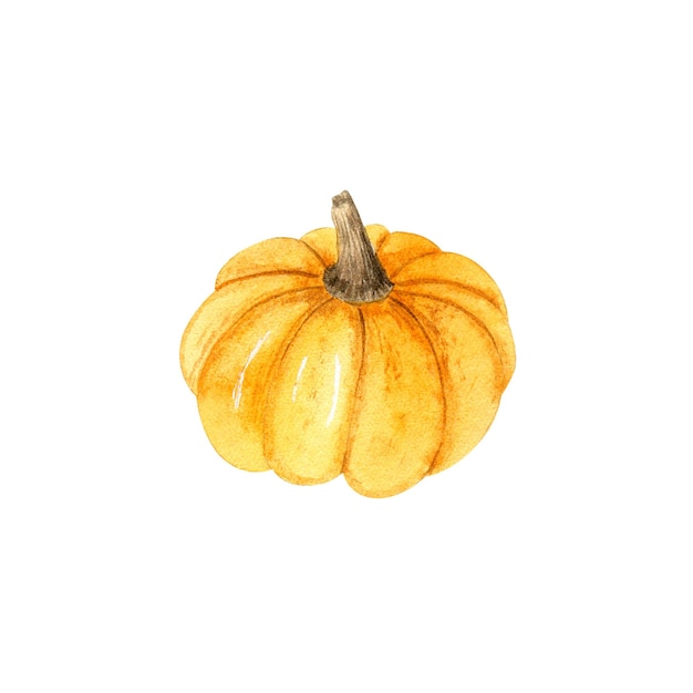 Ilustración de calabaza naranja dibujada a mano acuarela