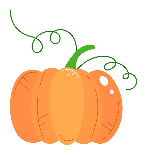 Ilustración de calabaza naranja vid verde aislada fondo blanco vectorial dibujos animados festivo estacional