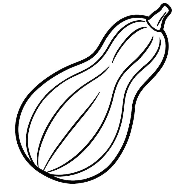 Ilustración de la calabaza de nuez