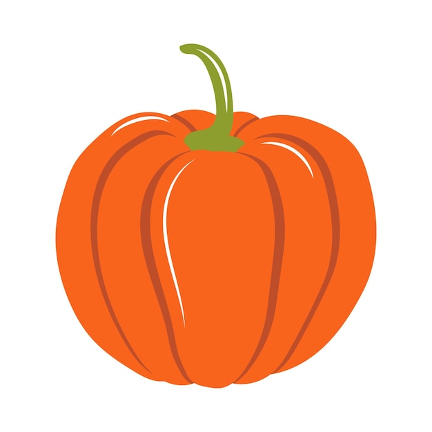 Ilustración de calabaza sobre un fondo blanco.