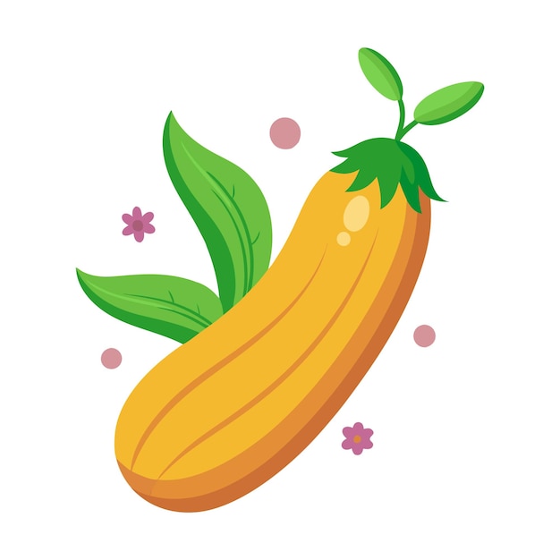Ilustración de calabazas de médula vegetal calabazas verdes frescas con hojas y flores