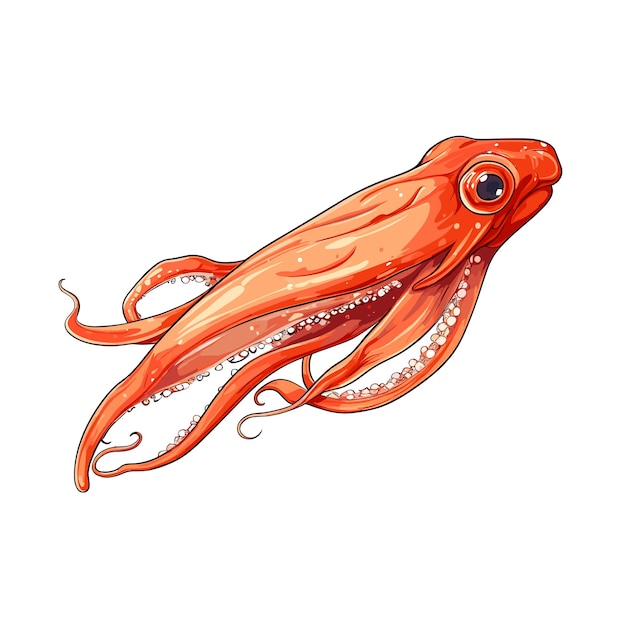 Vector ilustración de calamares de color plano dibujada a mano