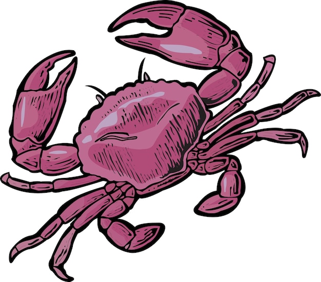 Ilustración de cangrejo de vector