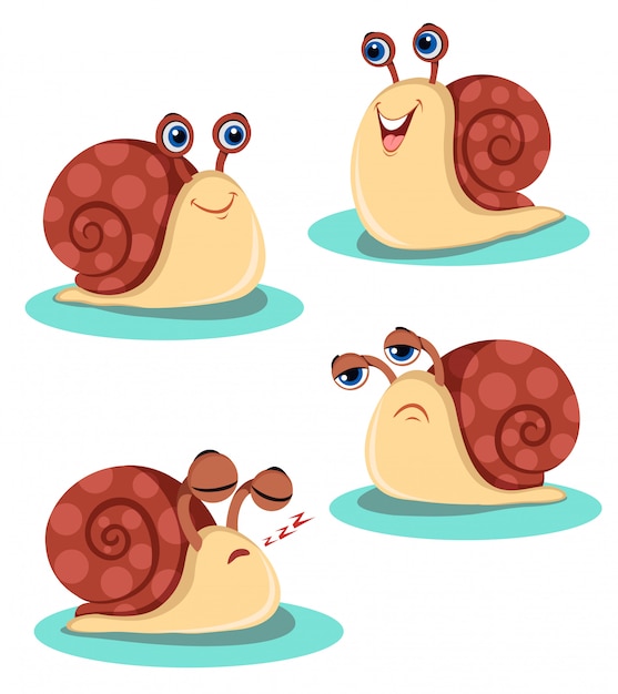 Ilustración de caracol