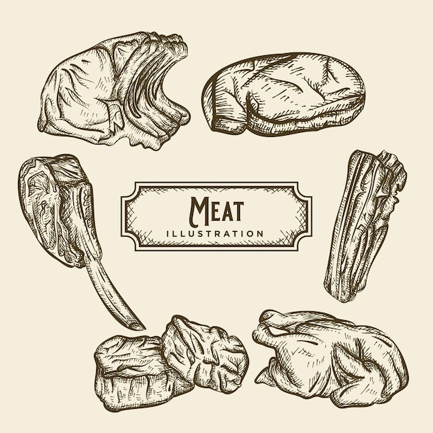 Ilustración de carne