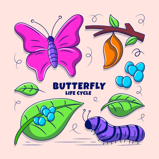 Vector ilustración del ciclo de vida de la mariposa con estilo de garabato dibujado a mano en color