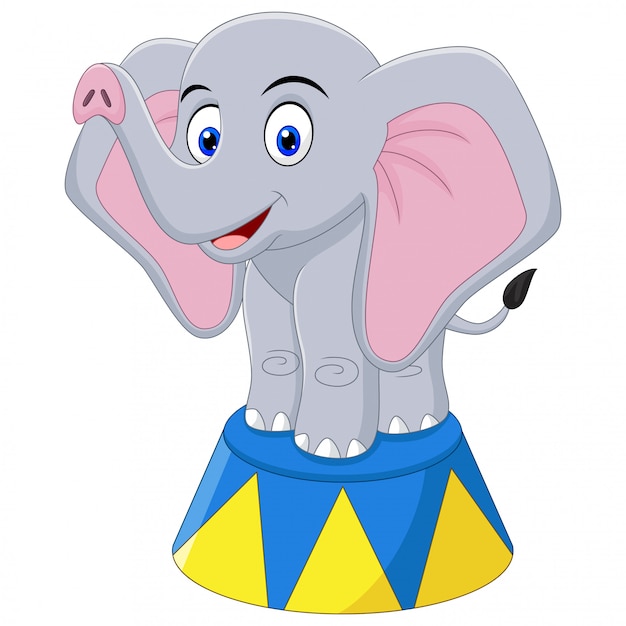 Vector ilustración del circo de elefante de dibujos animados